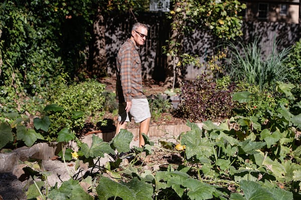 Jeff Collins walks through the garden at the Chastain in Buckhead. Collins works with Atlanta restaurants that grow their own produce, including the Chastain and Souper Jenny.  (Natrice Miller/AJC)