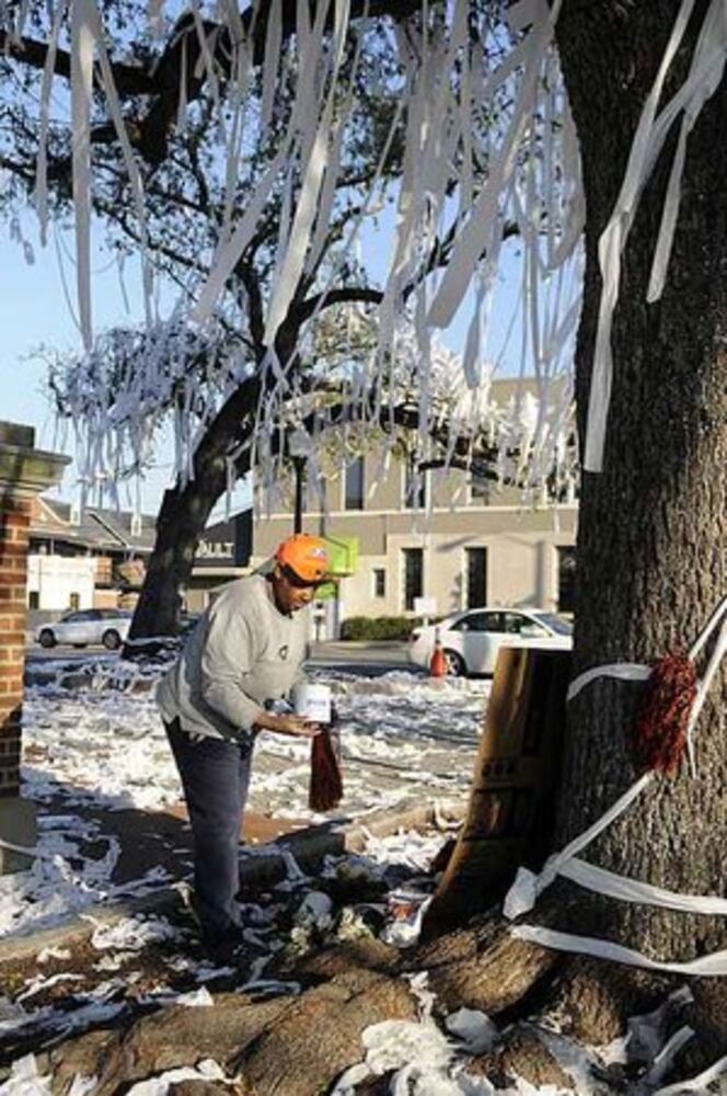 Auburn's 130-year-old oak trees poisoned