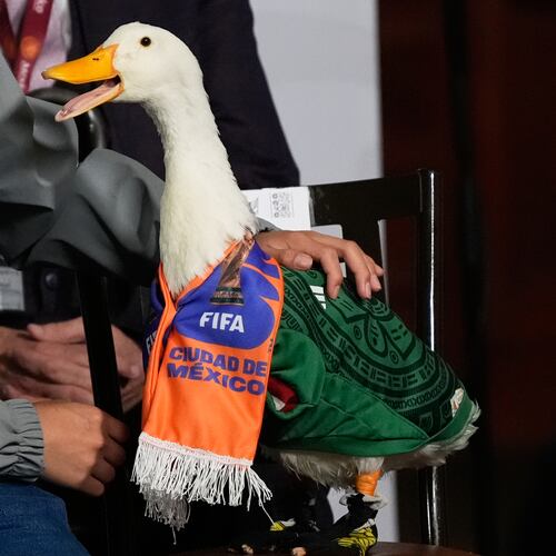 Christian Gomez interacts with his duck Merlin, dressed in a Mexican national soccer team jersey, as they attend the daily press conference by Mexican President Claudia Sheinbaum at the National Palace in Mexico City, Monday, June 22, 2026. (AP Photo/Marco Ugarte)