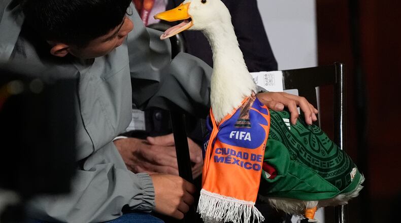 Christian Gomez interacts with his duck Merlin, dressed in a Mexican national soccer team jersey, as they attend the daily press conference by Mexican President Claudia Sheinbaum at the National Palace in Mexico City, Monday, June 22, 2026. (AP Photo/Marco Ugarte)