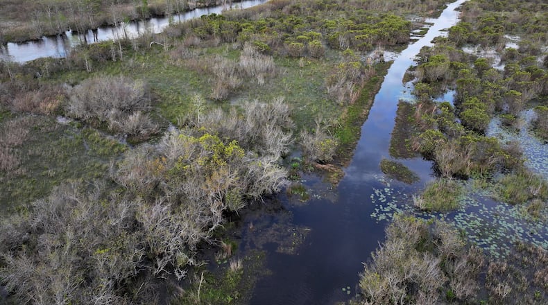 Drone photograph shows the Okefenokee Swamp on Monday, Mar. 18, 2024. (Hyosub Shin / Hyosub.Shin@ajc.com)
