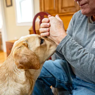 Memories of beloved pets can bring both sadness and gratitude for the years spent together. (Scott Suchman/The New York Times)