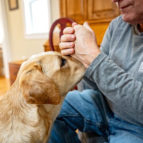 Memories of beloved pets can bring both sadness and gratitude for the years spent together. (Scott Suchman/The New York Times)