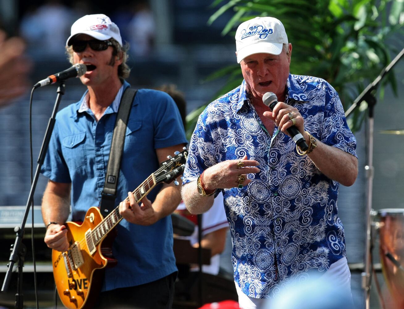 2010: The Beach Boys