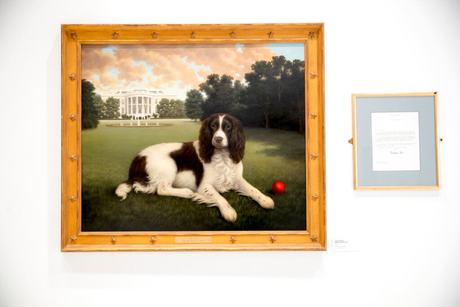 american kennel club museum of the dog