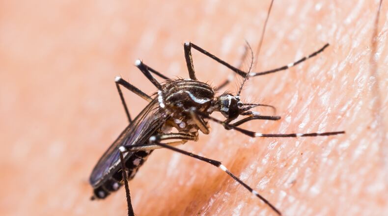 (Photo courtesy Fotolia/TNS)