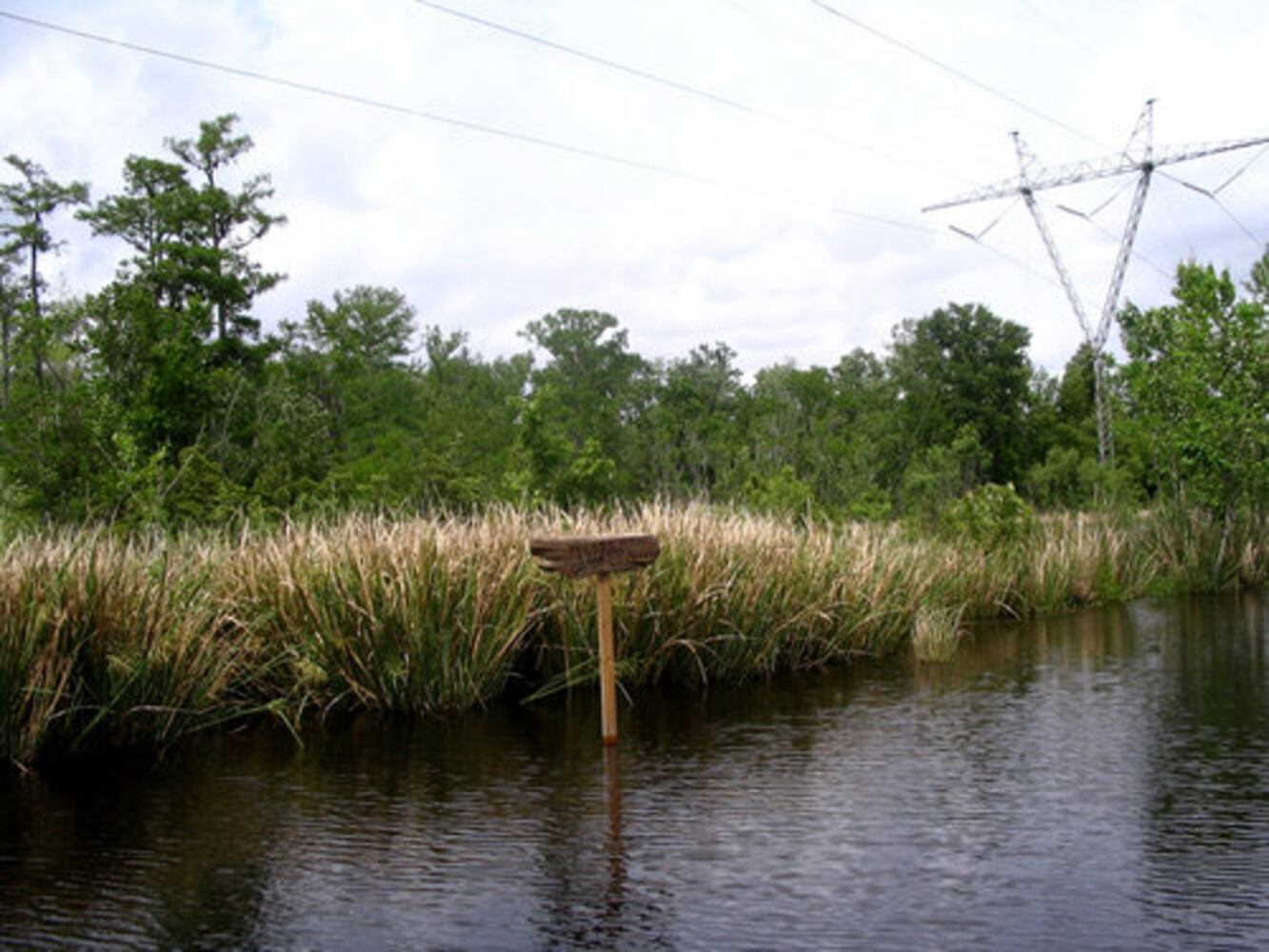 Tours of Louisiana swamps and plantations