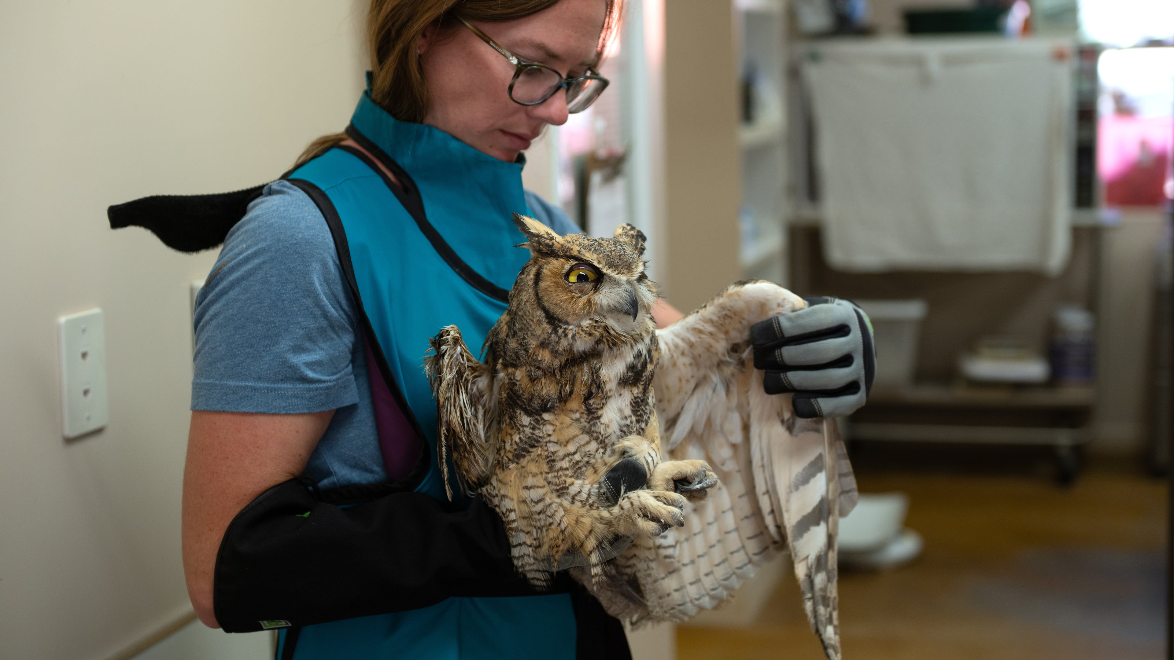 In this image provided by Best Friends Animal Sanctuary, small animals manager Sierra Medlin examines the wing of an owl in Nov. 6, 2025, that was taken to the sanctuary in Kanab, Utah, after it fell into a concrete mixer. (Best Friends Animal Sanctuary via AP)