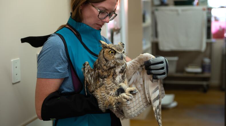 In this image provided by Best Friends Animal Sanctuary, small animals manager Sierra Medlin examines the wing of an owl in Nov. 6, 2025, that was taken to the sanctuary in Kanab, Utah, after it fell into a concrete mixer. (Best Friends Animal Sanctuary via AP)