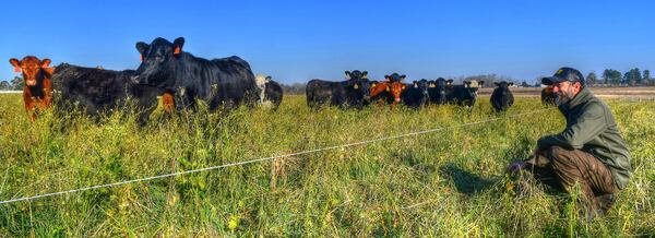 Dan Glenn gives a tour of Deep Grass Graziers in Fitzgerald. (CHRIS HUNT FOR THE ATLANTA JOURNAL-CONSTITUTION)