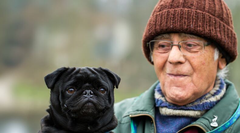 Meals on Wheels needs volunteers to help sort and deliver pet food.