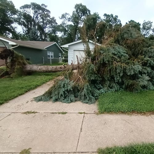 A downed tree in front of a house in Portage, Ind., on Tuesday, Aug. 18, 2026. (Jeremy Spurrier via AP)