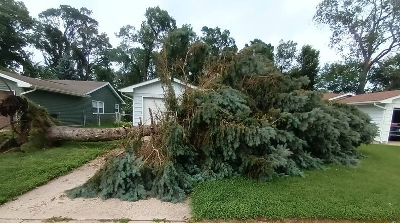 A downed tree in front of a house in Portage, Ind., on Tuesday, Aug. 18, 2026. (Jeremy Spurrier via AP)
