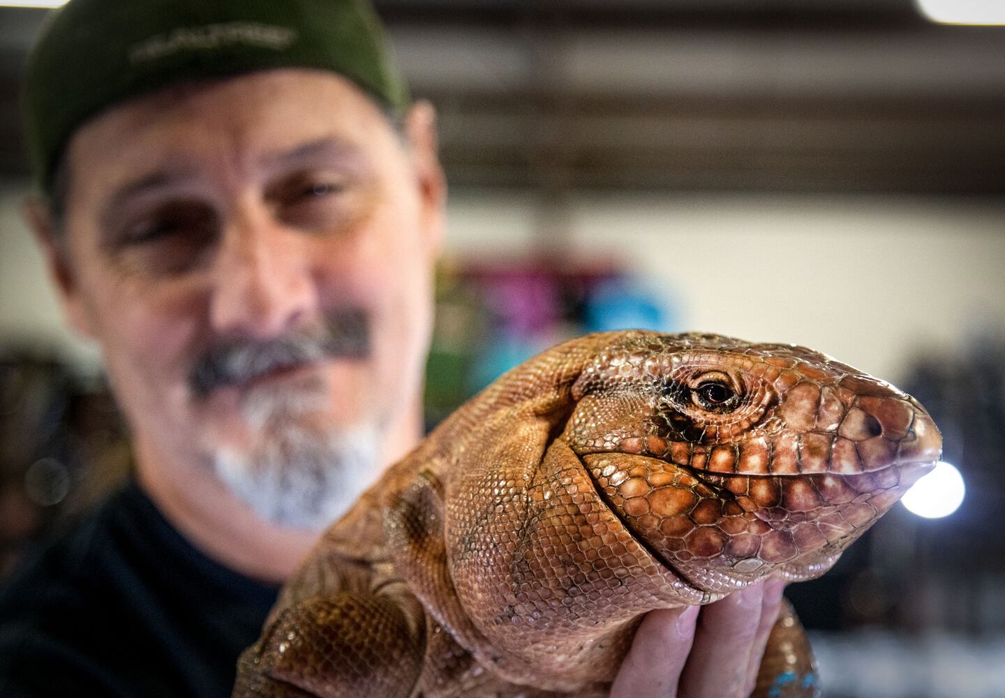 PHOTOS: Repticon 2020
