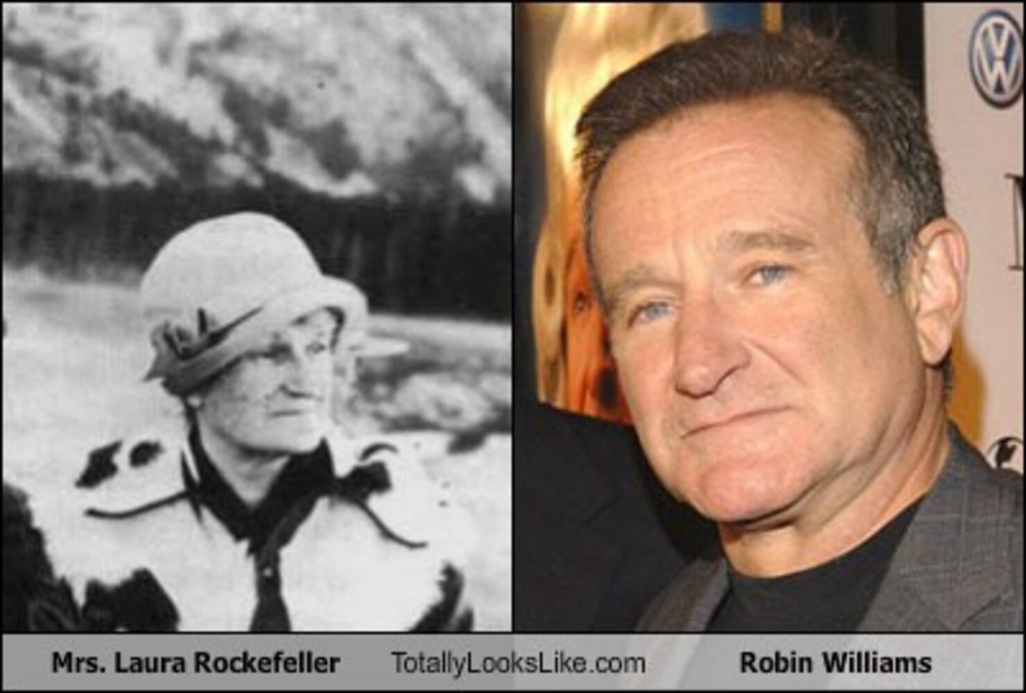 TotallyLooksLike.com