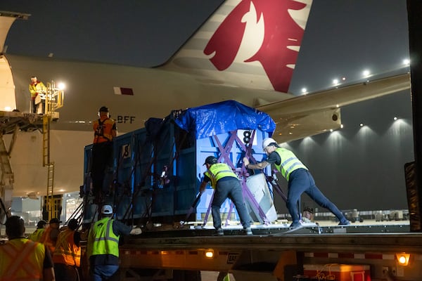 Balor and Zephyr, two beluga whales, were transported from Ontario, Canada, to Atlanta via a Qatar Airways cargo plane. (Courtesy of Georgia Aquarium)