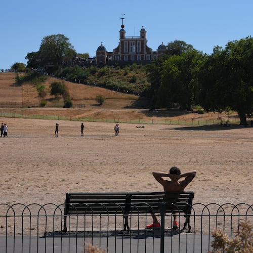 A man sits on a bench in Greenwich Park amid dried grass in London, Tuesday, Aug. 11, 2026. (AP Photo/Kin Cheung)