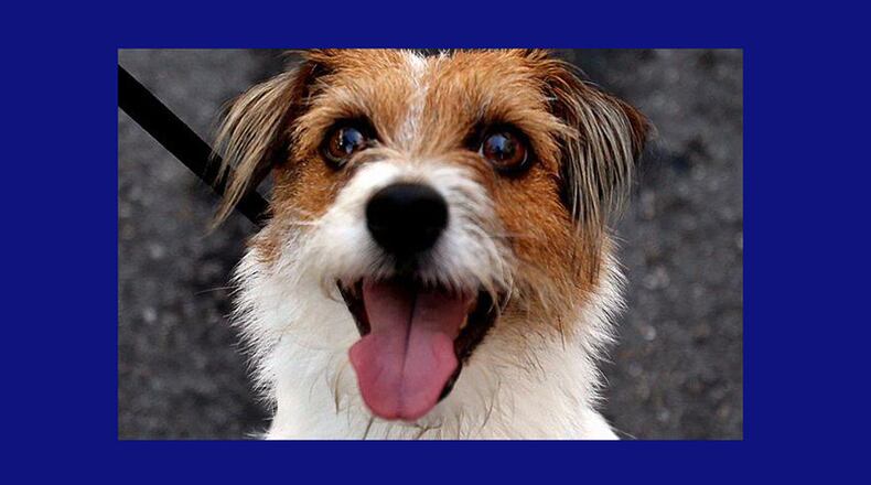 An animal hospital proposed for 1150 Upper Hembree Road has been given conditional approval by the Alpharetta City Council. AJC FILE