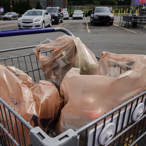 Plastic bags with groceries sit in a cart Monday, May 18, 2026, in Cincinnati. (AP Photo/Joshua A. Bickel)