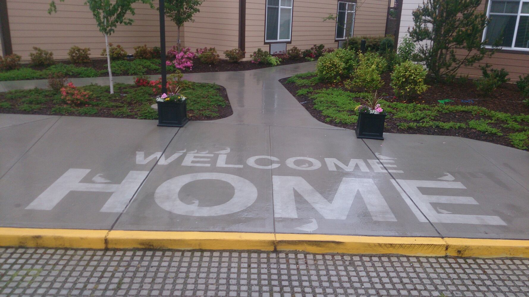 PHOTOS: Seattle invisible art revealed in rain
