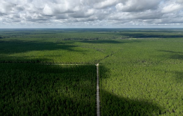Aerial photo showing Toledo Manufacturing Company's land (foreground) and the Okefenokee Swamp (background) on Monday, August 11, 2025. (Hyosub Shin / AJC)