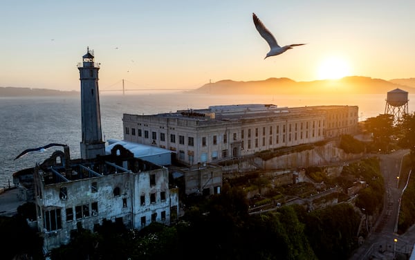 A bird flies above Alcatraz Island on Sunday, May 4, 2025, in the San Francisco Bay, Calif. (AP Photo/Noah Berger)
