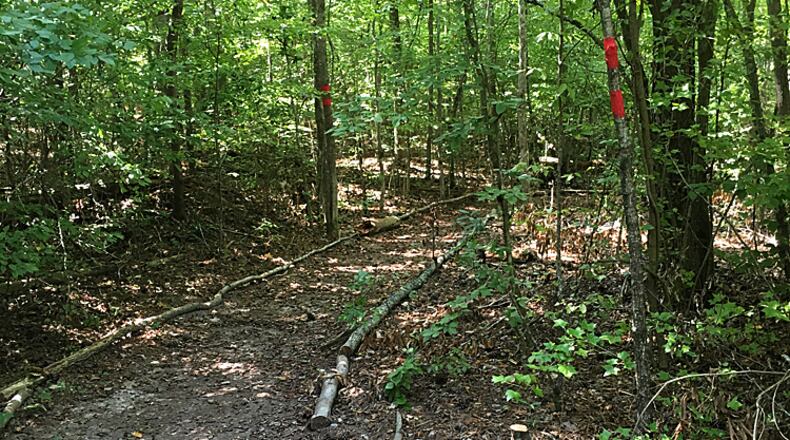 One of the renovated trains at Providence Park in Milton, to be reopened to the public Saturday after a 12-year hiatus. CITY OF MILTON