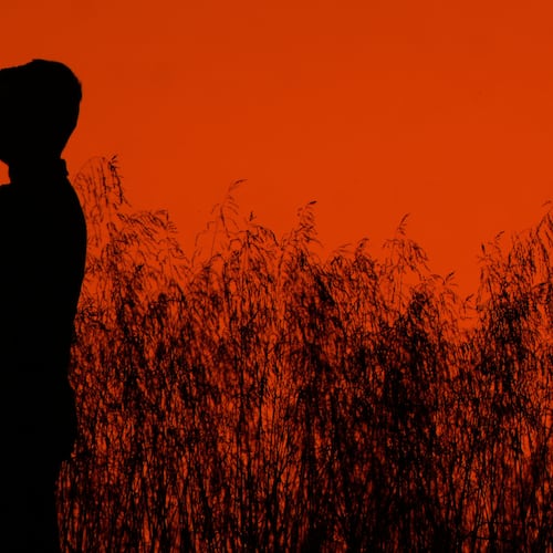 A man holds up a child while walking in a park at sunset, Wednesday, Oct. 15, 2025, in Shawnee, Kan. (AP Photo/Charlie Riedel)