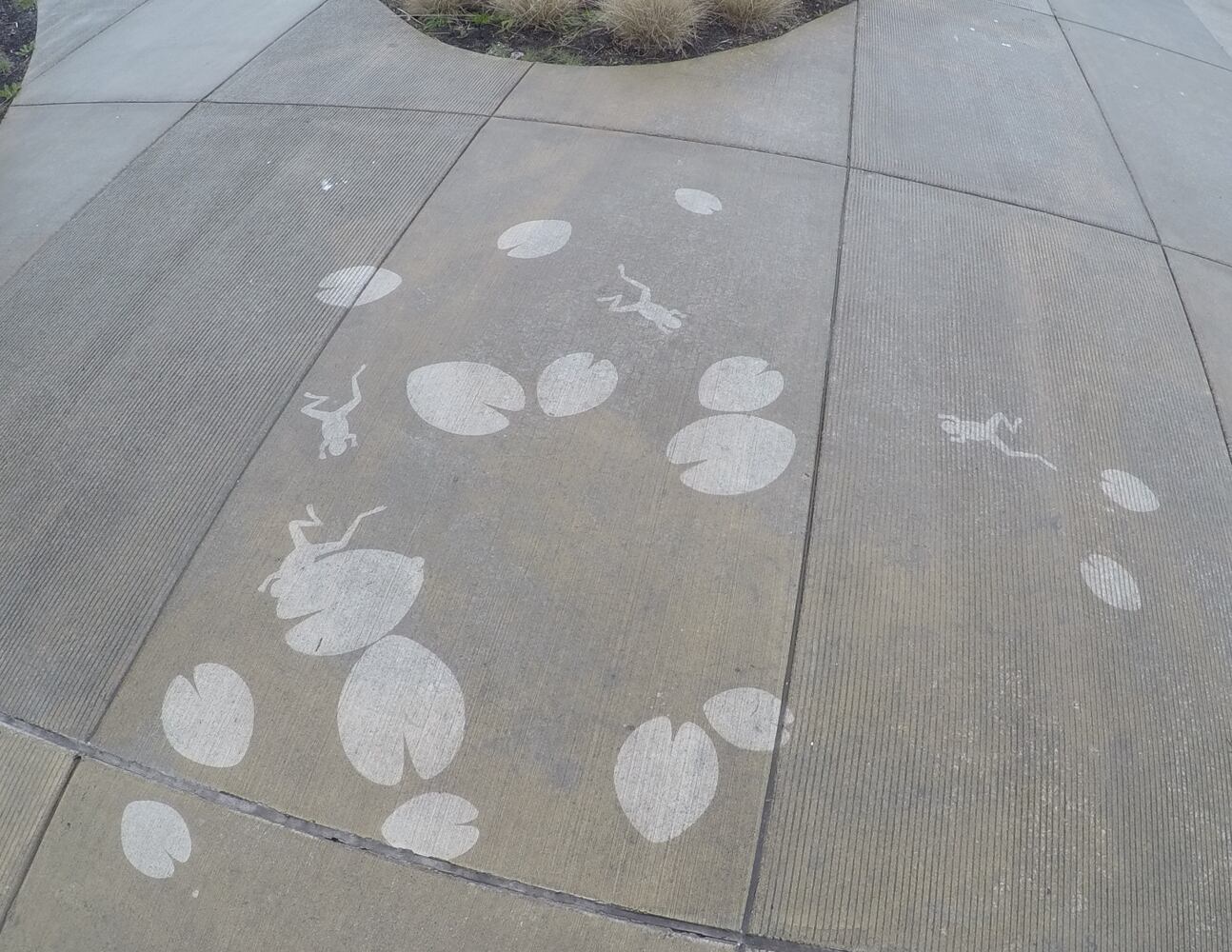 PHOTOS: Seattle invisible art revealed in rain