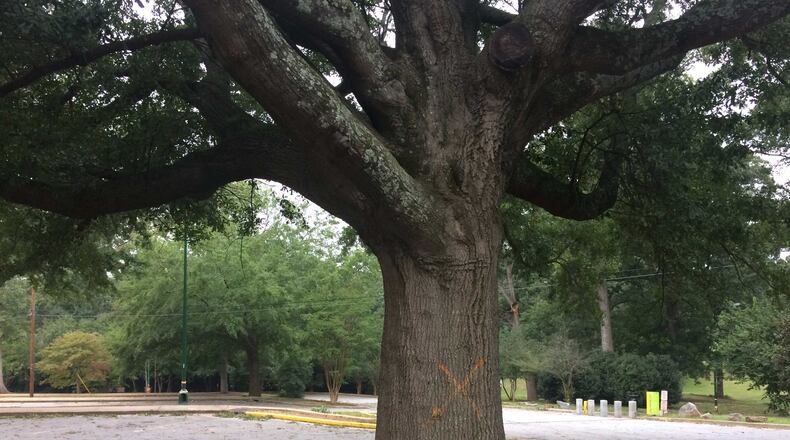 “Save The Trees of Grant Park” is holding a beneft to fund legal expenses associated with an appeal.