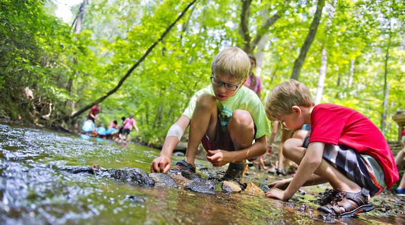 Christopher Henderson (center) and Markus Seller build a temporary dam across Sam’s Creek during summer camp at Autrey Mill Nature Preserve in Johns Creek on Monday, July 14, 2014. JONATHAN PHILLIPS / SPECIAL