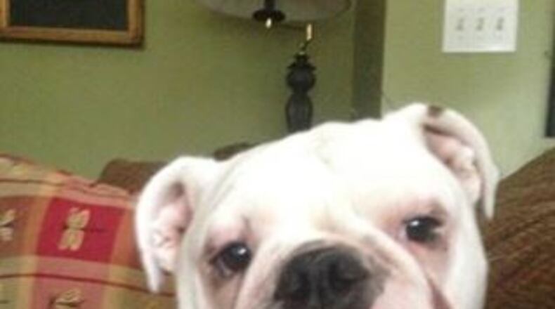 Chapel was stolen from the home of a UGA student. (Credit: Channel 2 Action News)