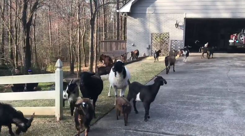 Screenshot from Roswell police’s video on Facebook