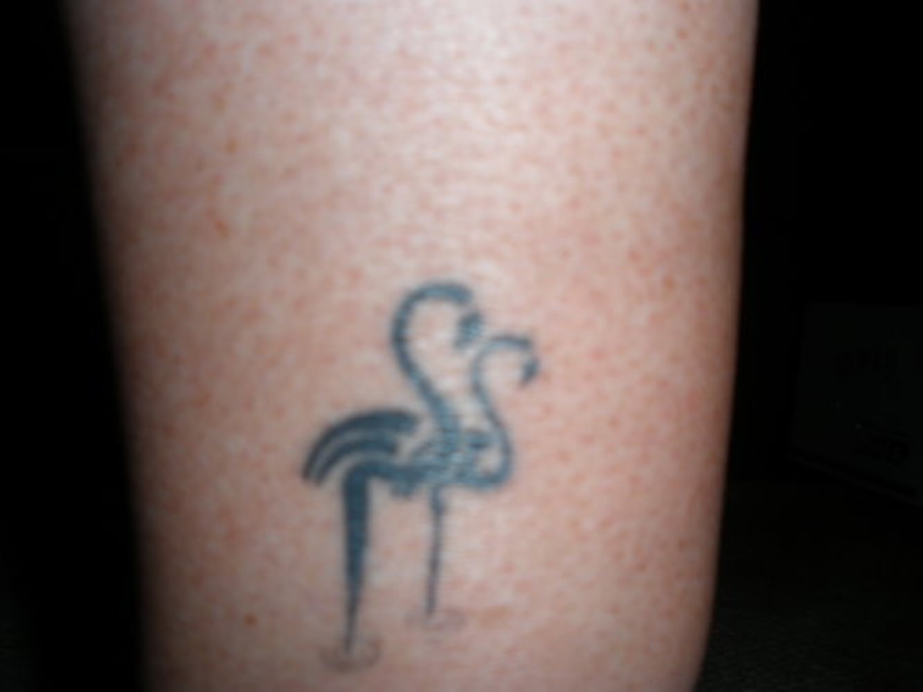 Tattoos Gallery 1