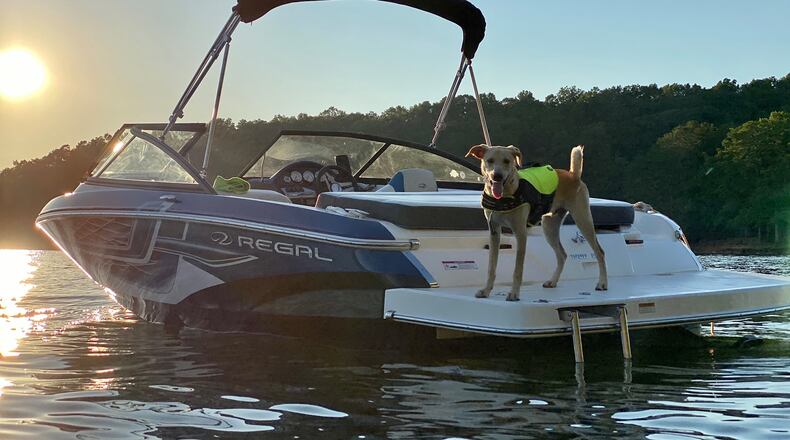 Hero, the dog belonging to Davis Adams and Baron Smith, enjoys a day of boating on Lake Lanier.
Courtesy of Davis Adams.