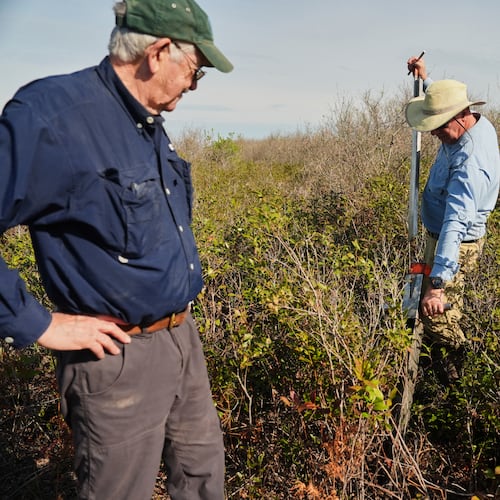 Neal Flanagan, right, a research scientist at Duke University, uses a tool to take a soil sample from a peatland as Curt Richardson, an ecology professor at Duke, observes Wednesday, May 6, 2026, in Belhaven, N.C. (AP Photo/Joshua A. Bickel)
