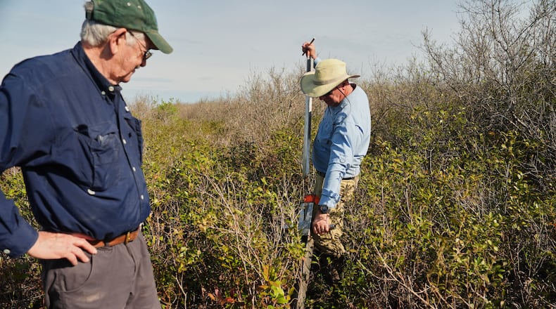 Neal Flanagan, right, a research scientist at Duke University, uses a tool to take a soil sample from a peatland as Curt Richardson, an ecology professor at Duke, observes Wednesday, May 6, 2026, in Belhaven, N.C. (AP Photo/Joshua A. Bickel)