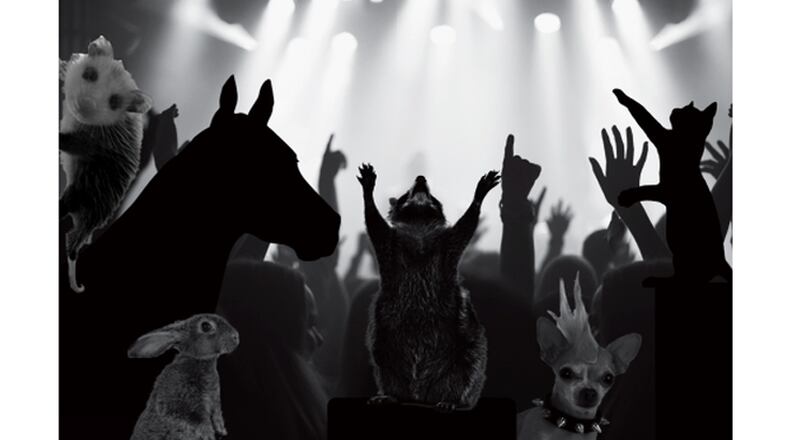 The Rock for Rescues music festival to benefit animal rescue organizations will take place in Woodstock this year, rather than Milton. It happens Saturday, April 25, at the Northside Hospital Cherokee Amphitheater in downtown Woodstock. ROCK FOR RESCUES