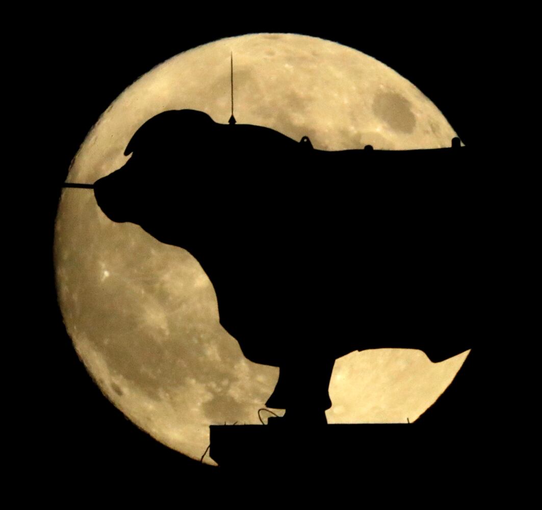 Supermoon