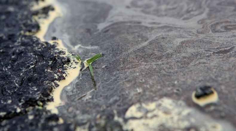 Pine pollen gathers in a puddle — a very common sight in Atlanta in springtime. A new study finds that pollen season is likely to start earlier, last longer and grow more intense in Georgia as global temperatures and atmospheric CO2 concentrations increase.