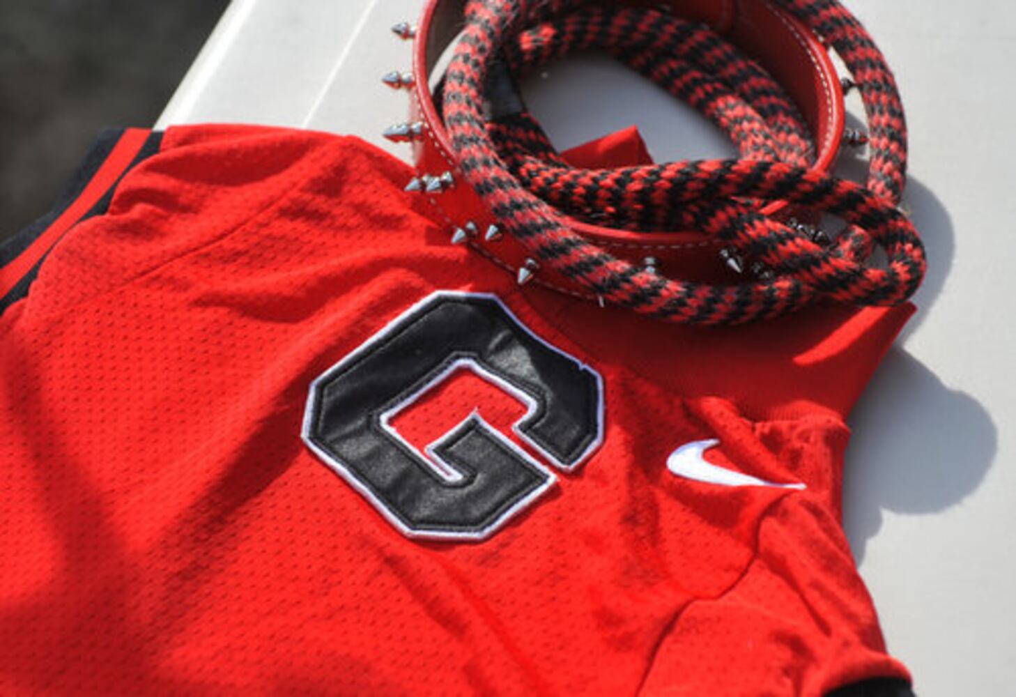 Memorial service for Georgia mascot Uga VII