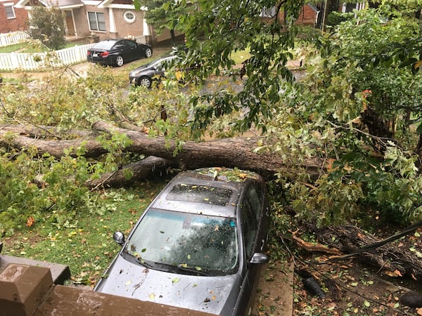 During Hurricane Irma in 2017, AJC columnist Nedra Rhone had a tree come down in her driveway, totaling her car. (Nedra Rhone/AJC 2017)
