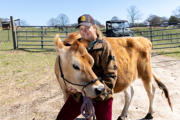 Deborah Andrews poses for a portrait with Annabelle the cow at Daydream Rescue Sanctuary in Gainesville on Monday, March 17, 2025. (Arvin Temkar / AJC)