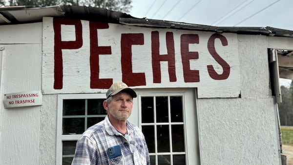 Companies pay millions and millions of dollars to get the kind of brand resilience Anthony Jenkins and his wife Cindy created with one delightful sign on Peches Fruit Stand.