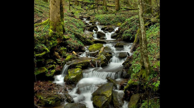 The Chattahoochee River, which supplies water to metro Atlanta and beyond, has its headwaters deep in the North Georgia mountains.