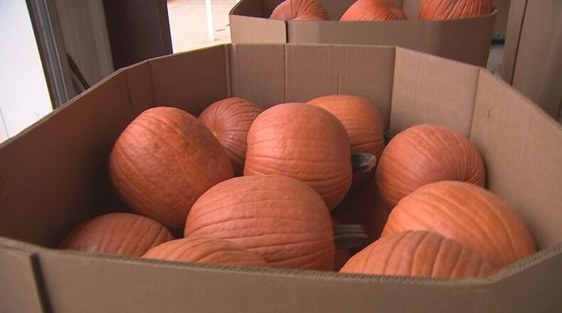 Materials are provided for pumpkin activities at Canton and Woodstock libraries during October. AJC file photo