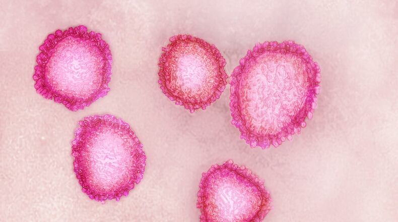 An electron microscope photo of the human coronavirus, which cause respiratory infections and gastroenteritis. (Cavallini James/BSIP/Universal Images Group via Getty Images)