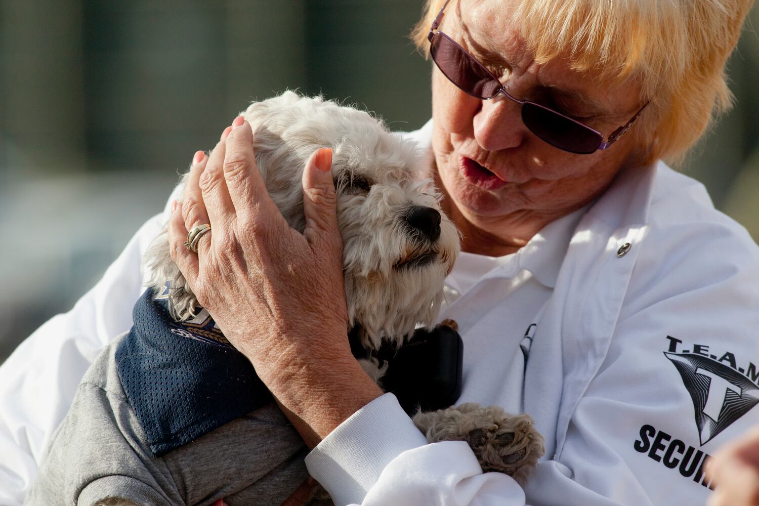 Milwaukee Brewers adopt stray, name it "Hank" after Hank Aaron