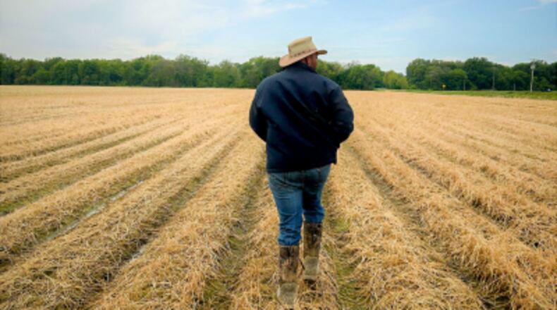 P.J. Haynie surveys one of his rice fields. Haynie is a fifth-generation row crop farmer with land in Virginia and in Arkansas, which is where he grows his rice. He also co-owns a rice mill in Arkansas, helping to add value to one of the state's most important crops.
The Montgomery Advertiser
