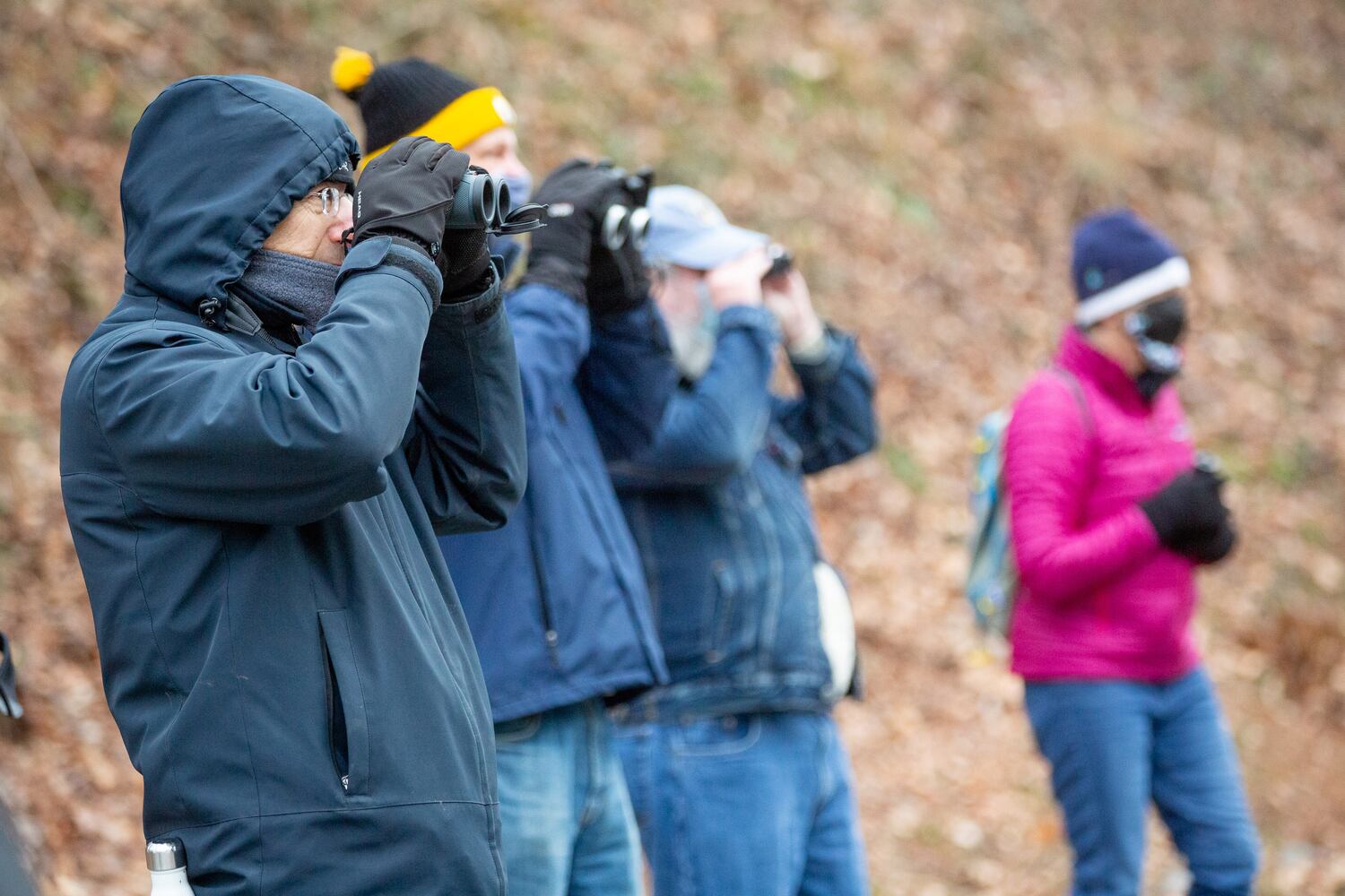 Bird Walk and Wildlife Viewing at Morgan Falls Overlook Park